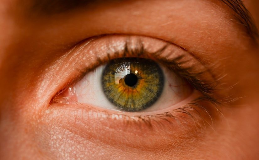Oczy to osobliwy organ. To właśnie dzięki nim odczuwamy.
